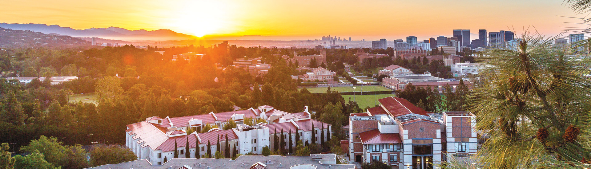A beautiful table setting by UCLA Catering